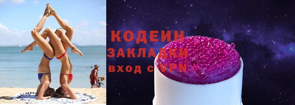 хмурый Аркадак