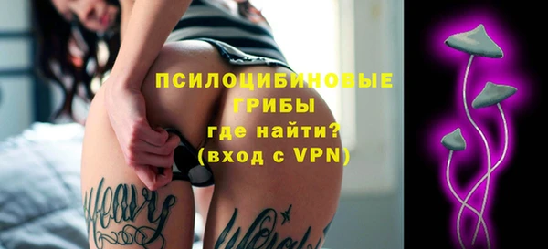хмурый Аркадак