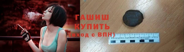 хмурый Аркадак