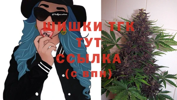 хмурый Аркадак