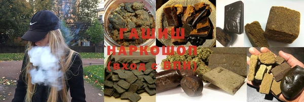 хмурый Аркадак