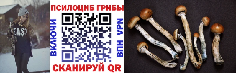 кракен как зайти  Ступино  Галлюциногенные грибы Magic Shrooms 
